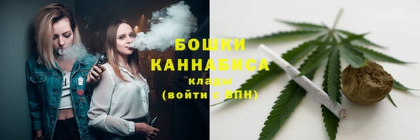 стаф Инсар