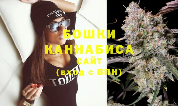 стаф Инсар