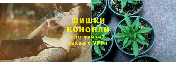 стаф Инсар