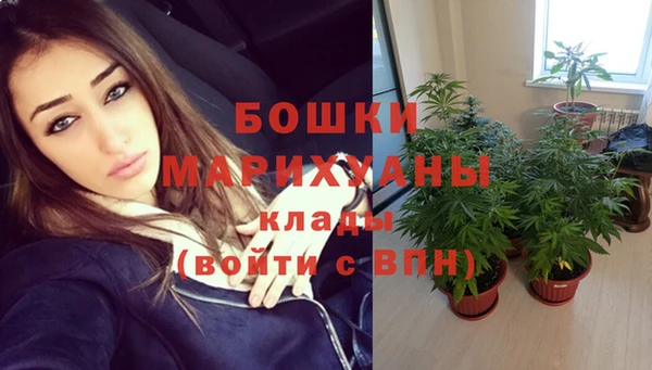 стаф Инсар