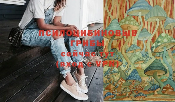 герыч Инта