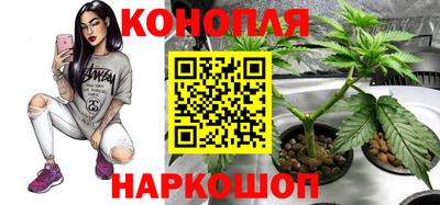 каннабис Гатчина