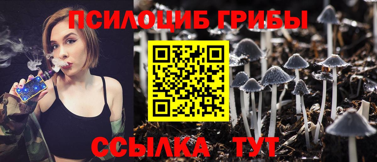 цена   Вход с VPN  Звенигород  Галлюциногенные грибы ЛСД 